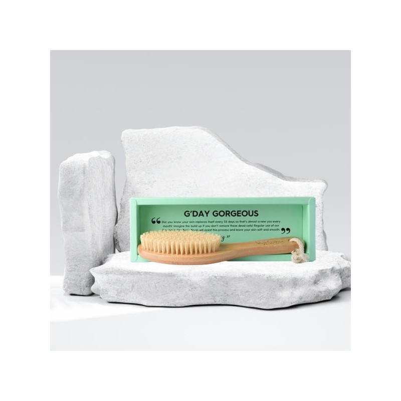 Black Chicken Remedies Garshana Dry Body Brush, 1 Brush