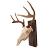 Wall Hangers European Skull Hanger Wall Mount