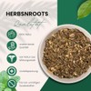 Mugwort Herb 500 g • "Women's Herbs" • First Choice