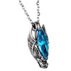 Cupimatch Men's Necklace Stainless Steel Gothic Dragon Head Punk Rock