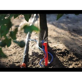 (5 Pack) Maxijet Microsprinkler on 12" Stake with 30" Tube (10.5' Spray Diameter)