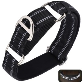 ONEFOJOJO Martingale Collar for Large Dogs Reflective Nylon Dog Collar with No Buckle Adjustable Training No Slip Dog Collar (L, Black)