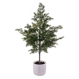 Vickerman 37" Artificial Green Cypress Sapling Potted.