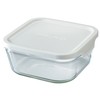 Iwaki Pack & Range Container
