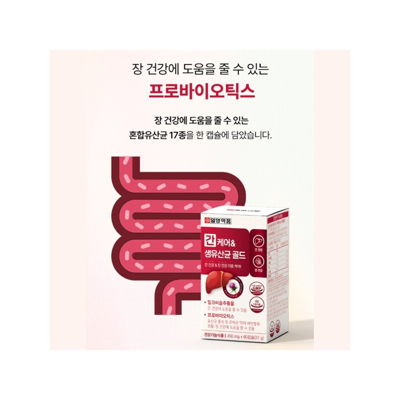 간케어앤유산균 간건강케어 락토바실루스 락토바실러스 롱검 유산균 Liver Care and Probiotics