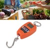 Portable Electronic Scale High Accuracy Digital Hanging Scale 200kg Weight