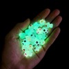 LUBINGSHINE 72pcs Mushroom Pendant Charms, Luminous Mushroom Resin Charm Beads