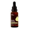 Plant Therapy Organic Herbal Tincture - Brain Power, 30ml