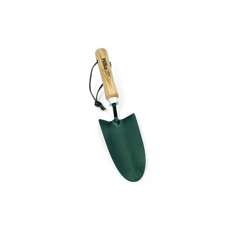 Carbon Steel Hand Trowel