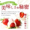 いちごトリュフ