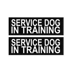 Doggie Stylz Set of 2 Reflective Service Dog in Training Removable Patches with Hook Backing for Working Dog Harnesses & Vests. Durable and Interchangeable - Comes in 3 Sizes Small, Medium and Large