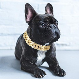 Fydun Mascota Pequeña Mediana, Accesorios de Joyería para Accesorios de Bulldog Francés Collar de Teddy Bulldog Francés