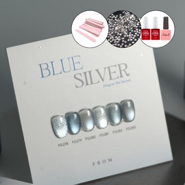 From the Nail Magnetic Gel Blue Silver 6-piece set / 프롬더네일 자석젤 블루실버 6종 세트