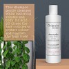 Christophe Robin Delicate Volumising Shampoo with Rose Extracts 250ml