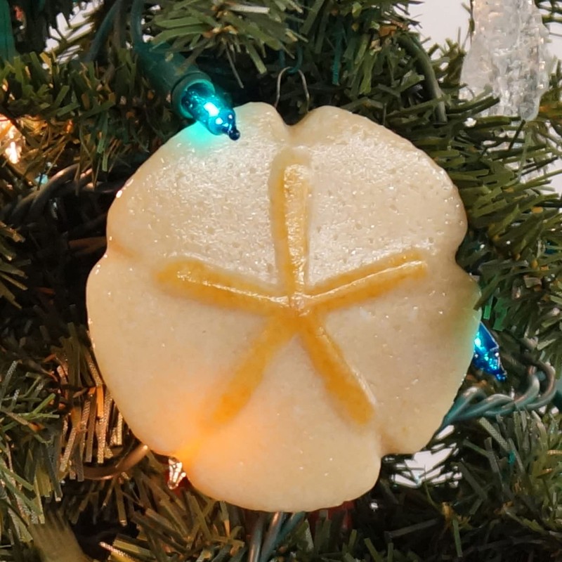 Sand Dollar Casting Mold