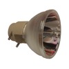 Osram Replacement Lamp for BENQ 5J.JKX05.001, 5J.JL805.001