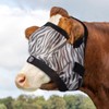 Harrison Howard Cattle Livestock Fly Mask Breathable Mesh Padded Edging