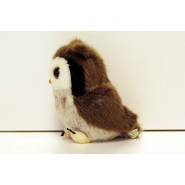 Rikuno Nakamachi Konohazuku 180519