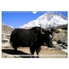 Yaks - on Stony Paths (Wall Calendar 2026 DIN A4