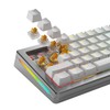 Glorious Gaming - Panda Switches (Lubed Tactile Switches) - 36x
