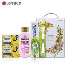 NS Premium No. 33 5 types of gifts Holiday thank you Group Botanical Jasmine Freesia / NS 프리미엄 33호 5종 선물 명절 감사 인사 단체보타닉 자스민 후리지아