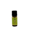 Orange Organic Essential Oil