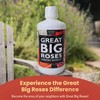 Great Big Roses – Soil and Rose Fertilizer Booster to