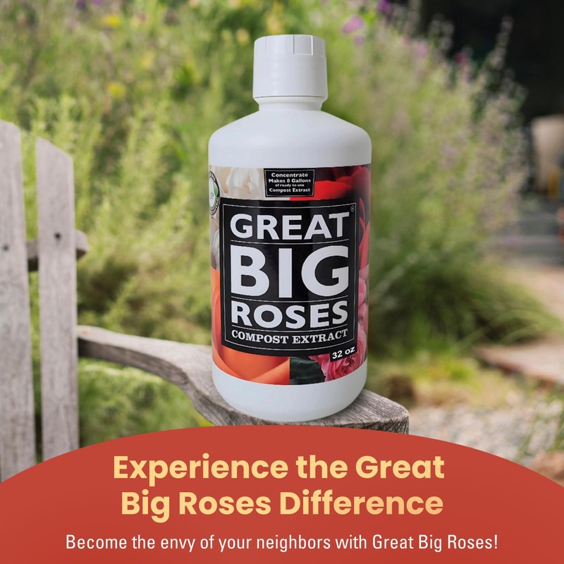 Great Big Roses – Soil and Rose Fertilizer Booster to