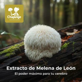 Lions Mane Melena De León Hongo Memoria Y Enfoqu 370 Cáps                                                                                             