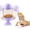 ALI2 Bearded Dragon Feeder Toy Rugby Shape, Reptile Interactive Enrichment