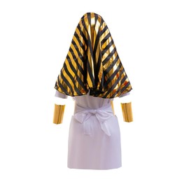 Lito Angels Egyptian Pharaoh Costume Fancy Dress Up Outfits Set with Accessory for Kids Boys Age 10-11 Years