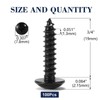 #6 x 3/4" Wood Screw 100Pcs Truss Head Phillips 18-8