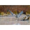 Generic Golow Max - 10 inch Camera Ground Pod •
