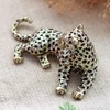 <Leopard (each color)> Pierce Jewelry Box (Black)