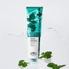 Breezemint Pro 4 x 180g + 2 x 20g /