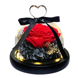 Norcalway Premium Gifts - Forever Preserved Rose in Glass Dome - Beauty and The Beast Rose Decor in a Glass Dome for Decorations