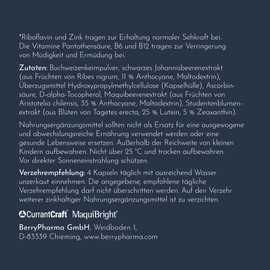 rubyni® Vision for Eyes & Vision (140 Capsules) • Blackcurrant Extract with Vitamins & Minerals • Natural Eye Vitamins & Minerals • 100% Vegan