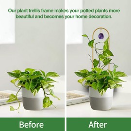 Wellsign Plant Trellis for Climbing Plants, 15.75 inch Garden Small Metal Arch Glod Trellis for Potted Plants Indoor Outdoor with Natural Stone Decor for Vine Ivy Flower Support 4 Pack