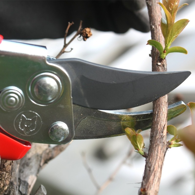 WOLF-Garten Rr-En, garden shears, 23 x 5 x 5 cm