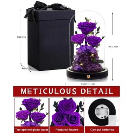 Agrul Christmas Flowers Rose Gifts for Women Preserved Rose in Glass Dome Forever R...