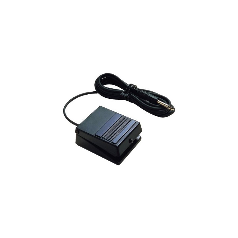 Roland DP-2 Pedal