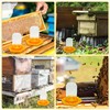 HiveSweet Bee Feeder for 2 pcs Bee Feeder for Mason