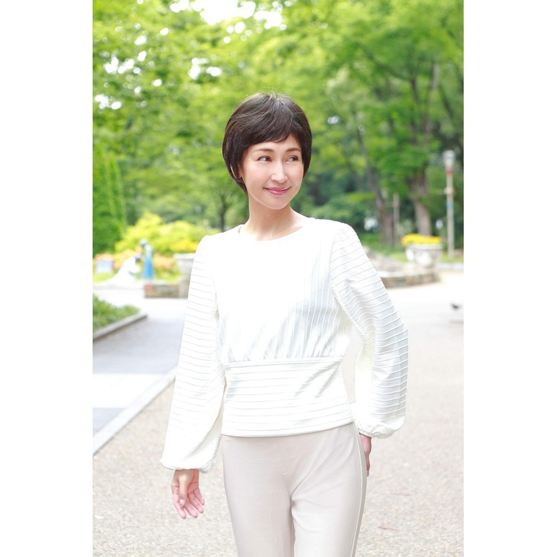 Gray Hair Kakushi Whole Type Dark Brown