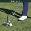 Tabata(タバタ) Golf Tee Plus Slim Tee, Short Plastic Golf Tee,