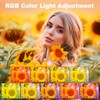 RGB Smartphone Video Rig with Light, Handheld Phone Camera Ring