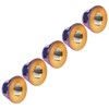 Ruifu Bicycle and Motorcycle Titanium Nuts M6 / M8 /