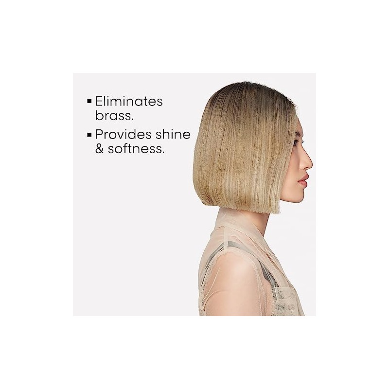 LOréal Professionnel Silver Shampoo Neutralizador 500ml