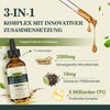2000 mg Liposomal Ashwagandha Drops, High Dose Ashwagandha Root Extract,
