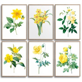 MONOKO® Living Room Poster Set - Bedroom Picture Set Premium - Stylish Wall Pictures - Set of 6 without Frame (Flowers, Yellow, Daffodil, 6 x A4 (21 x 29.7 cm))