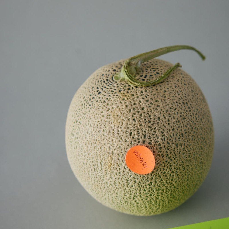 The Face Shop [Super Rewards] Ugly Lovely Melon Hydrating Cream
